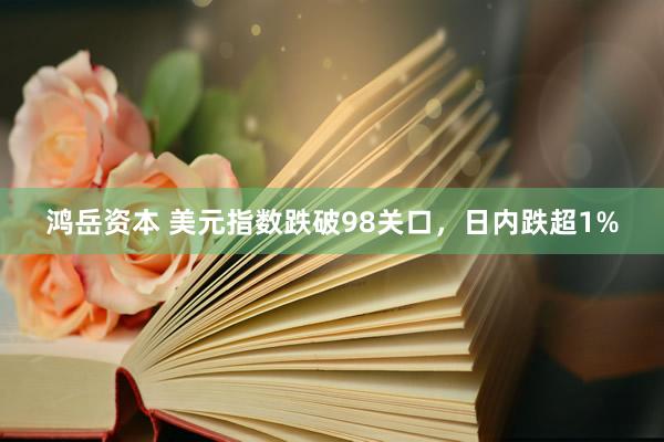 鸿岳资本 美元指数跌破98关口，日内跌超1%