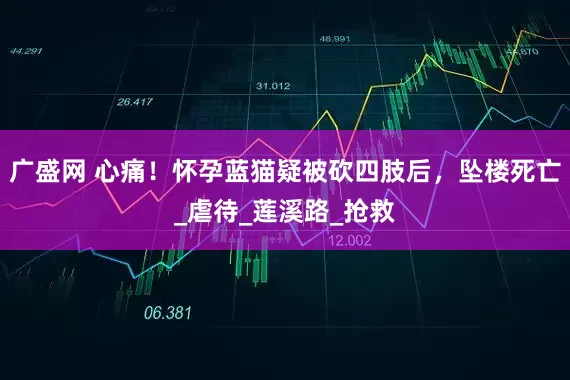 广盛网 心痛！怀孕蓝猫疑被砍四肢后，坠楼死亡_虐待_莲溪路_抢救