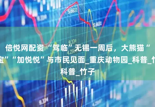 倍悦网配资 “驾临”无锡一周后，大熊猫“渝宝”“加悦悦”与市民见面_重庆动物园_科普_竹子