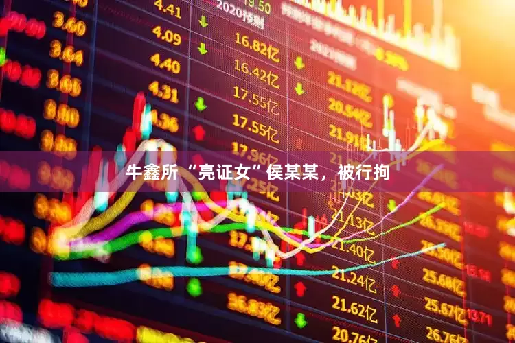 牛鑫所 “亮证女”侯某某，被行拘
