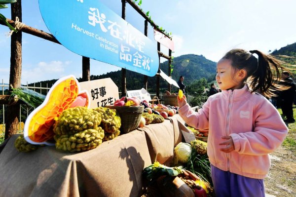 富邦配资 青岛：金秋话丰年